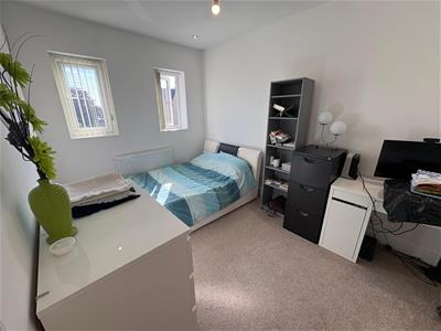 Picture 15